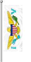 Nationalflagge Jungferninseln (Amerikanische)